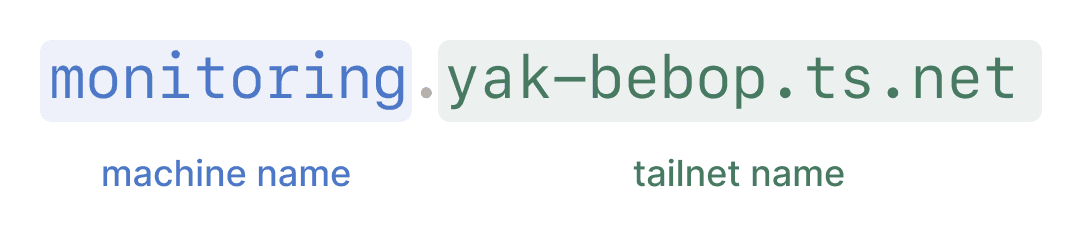 monitoring.yak-bebop.ts.net where 'monitoring' is the machine-name and 'yak-bebop.ts.net' is the tailnet name
