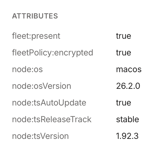 View of the machine attributes in the Machines page.